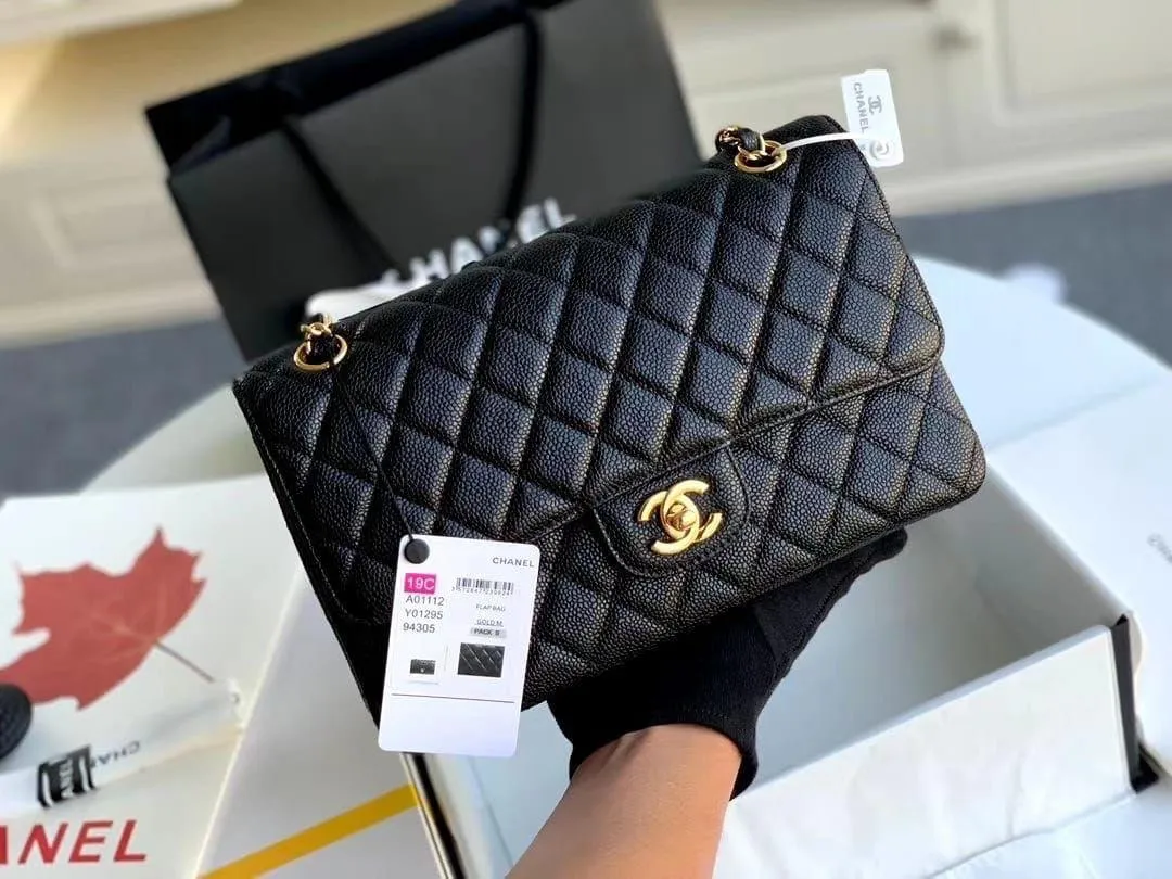Designer Handbags for Women - CHL - 5817